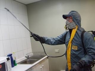 inspeccion
